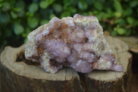 Natural Ametrine Spirit Quartz Clusters x 5 From Boekenhouthoek, South Africa - Toprock Gemstones and Minerals