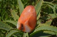 Polished Carnelian Standing Free Form x 2 from Madagascar - Toprock Gemstones and Minerals