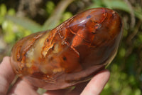 Polished Carnelian Standing Free Form x 2 from Madagascar - Toprock Gemstones and Minerals