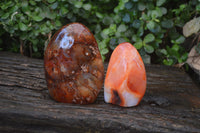 Polished Carnelian Standing Free Form x 2 from Madagascar - Toprock Gemstones and Minerals