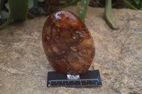 Polished Carnelian Standing Free Form x 2 from Madagascar - Toprock Gemstones and Minerals