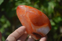 Polished Carnelian Standing Free Form x 2 from Madagascar - Toprock Gemstones and Minerals