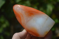 Polished Carnelian Standing Free Form x 2 from Madagascar - Toprock Gemstones and Minerals