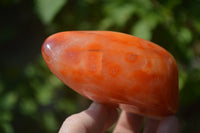 Polished Carnelian Standing Free Form x 2 from Madagascar - Toprock Gemstones and Minerals