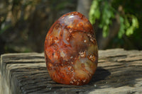 Polished Carnelian Standing Free Form x 2 from Madagascar - Toprock Gemstones and Minerals