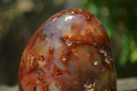 Polished Carnelian Standing Free Form x 2 from Madagascar - Toprock Gemstones and Minerals