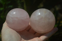 Polished Rose Quartz Spheres x 4 From Ambatondrazaka, Madagascar - Toprock Gemstones and Minerals