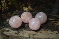 Polished Rose Quartz Spheres x 4 From Ambatondrazaka, Madagascar - Toprock Gemstones and Minerals