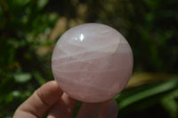 Polished Rose Quartz Spheres x 4 From Ambatondrazaka, Madagascar - Toprock Gemstones and Minerals