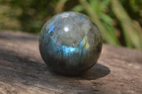 Polished Labradorite Spheres x 4 From Tulear, Madagascar - Toprock Gemstones and Minerals