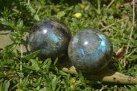 Polished Labradorite Spheres x 4 From Tulear, Madagascar - Toprock Gemstones and Minerals
