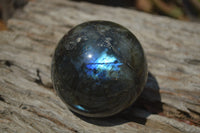 Polished Labradorite Spheres x 4 From Tulear, Madagascar - Toprock Gemstones and Minerals