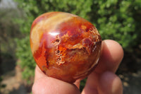 Polished Carnelian Gemstone Eggs x 12 From Madagascar - Toprock Gemstones and Minerals