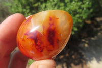 Polished Carnelian Gemstone Eggs x 12 From Madagascar - Toprock Gemstones and Minerals