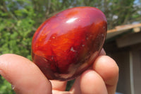 Polished Carnelian Gemstone Eggs x 12 From Madagascar - Toprock Gemstones and Minerals