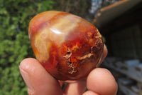 Polished Carnelian Gemstone Eggs x 12 From Madagascar - Toprock Gemstones and Minerals