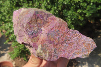 Natural Stichtite Cobbed Specimens x 2 From Barberton, South Africa - Toprock Gemstones and Minerals