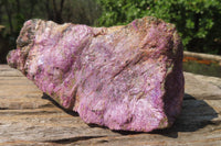 Natural Stichtite Cobbed Specimens x 2 From Barberton, South Africa - Toprock Gemstones and Minerals