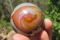 Polished Polychrome Jasper Spheres x 6 From Madagascar - Toprock Gemstones and Minerals