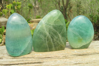 Polished Green Fluorite Standing Free Forms x 3 From Madagascar - Toprock Gemstones and Minerals