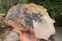 Natural Specular Hematite Coated Quartz Specimen x 1 From Messina Mine, South Africa - Toprock Gemstones and Minerals