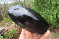 Polished Black Tourmaline Standing Free Forms x 4 From Madagascar - Toprock Gemstones and Minerals