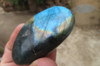 Polished Labradorite Palm Stones x 7 From Tulear, Madagascar - Toprock Gemstones and Minerals