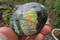 Polished Labradorite Palm Stones x 7 From Tulear, Madagascar - Toprock Gemstones and Minerals