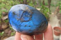 Polished Labradorite Palm Stones x 7 From Tulear, Madagascar - Toprock Gemstones and Minerals