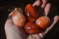 Polished Carnelian Eggs x 12 from Madagascar - Toprock Gemstones and Minerals