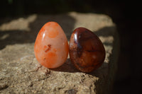 Polished Carnelian Eggs x 12 from Madagascar - Toprock Gemstones and Minerals