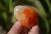 Polished Carnelian Eggs x 12 from Madagascar - Toprock Gemstones and Minerals