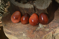 Polished Carnelian Eggs x 12 from Madagascar - Toprock Gemstones and Minerals