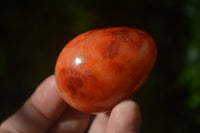 Polished Carnelian Eggs x 12 from Madagascar - Toprock Gemstones and Minerals
