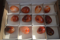 Polished Carnelian Eggs x 12 from Madagascar - Toprock Gemstones and Minerals