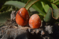 Polished Carnelian Eggs x 12 from Madagascar - Toprock Gemstones and Minerals