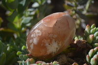 Polished Flower Agate Galet-Palm Stones x 12 From Antsahalova, Madagascar - Toprock Gemstones and Minerals