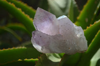 Natural Jacaranda Amethyst Quartz Cluster x 6 from Mumbwa, Zambia - Toprock Gemstones and Minerals