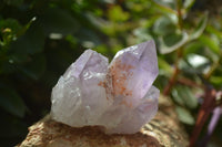 Natural Jacaranda Amethyst Quartz Cluster x 6 from Mumbwa, Zambia - Toprock Gemstones and Minerals