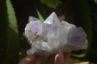 Natural Jacaranda Amethyst Quartz Cluster x 6 from Mumbwa, Zambia - Toprock Gemstones and Minerals