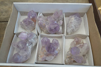 Natural Jacaranda Amethyst Quartz Cluster x 6 from Mumbwa, Zambia - Toprock Gemstones and Minerals