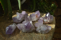 Natural Jacaranda Amethyst Quartz Cluster x 6 from Mumbwa, Zambia - Toprock Gemstones and Minerals