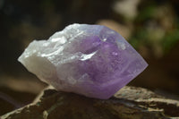 Natural Jacaranda Amethyst Quartz Cluster x 6 from Mumbwa, Zambia - Toprock Gemstones and Minerals