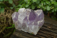 Natural Jacaranda Amethyst Quartz Clusters x 2 from Mumbwa, Zambia - Toprock Gemstones and Minerals