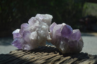 Natural Jacaranda Amethyst Quartz Clusters x 2 from Mumbwa, Zambia - Toprock Gemstones and Minerals