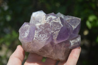 Natural Jacaranda Amethyst Quartz Clusters x 2 from Mumbwa, Zambia - Toprock Gemstones and Minerals