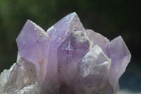 Natural Jacaranda Amethyst Quartz Clusters x 2 from Mumbwa, Zambia - Toprock Gemstones and Minerals