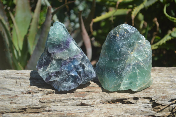 Fluorite Green Stone With Purple Spots Purple Fluorite Root
