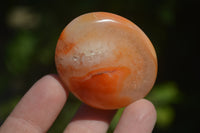 Polished Carnelian Galet-Palm Stones x 12 From Madagascar - Toprock Gemstones and Minerals