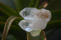 Natural Clear Quartz Crystals x 35 From Mpika, Zambia - Toprock Gemstones and Minerals